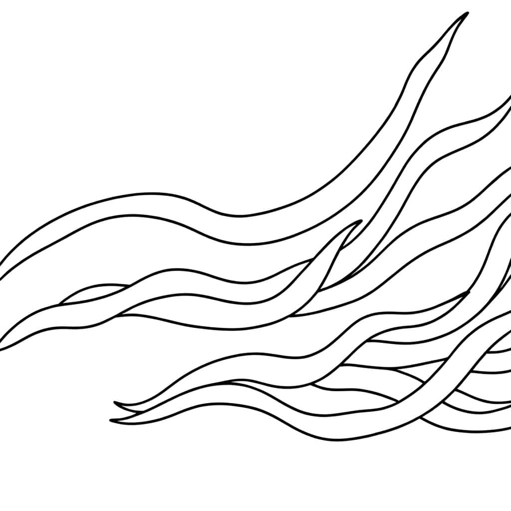 Coloriage Algue ondulante à imprimer et colorier