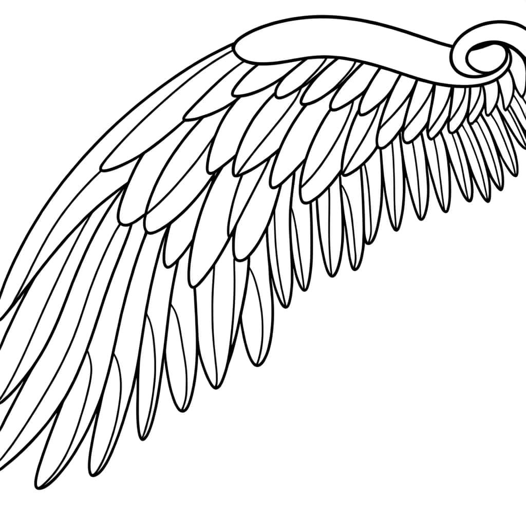 Coloriage Aile d'ange à imprimer et colorier