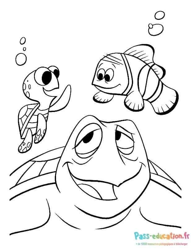 Coloriage Tortues et poissons à imprimer et colorier