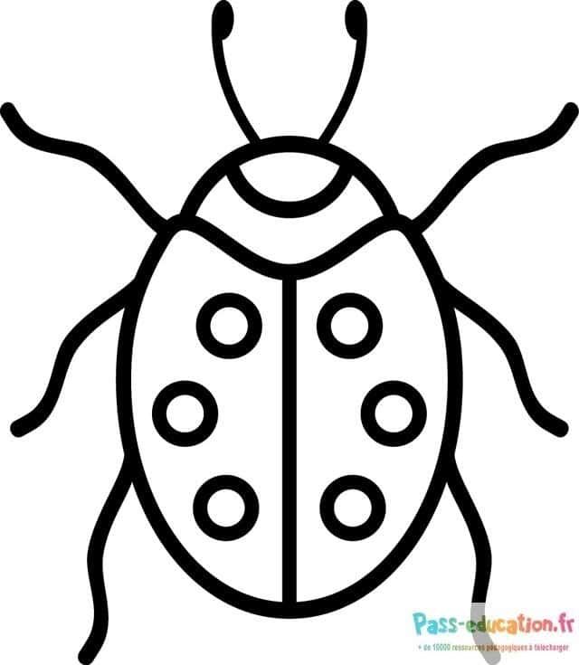 Coloriage Coccinelle stylisée à imprimer et colorier