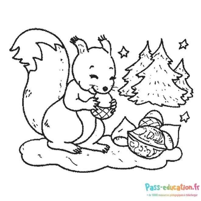 Coloriage Écureuil Gourmand à imprimer et colorier