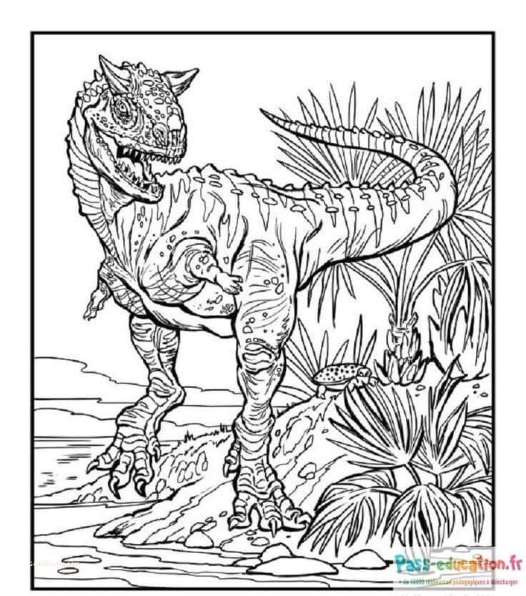 Coloriage Tyrannosaure majestueux à imprimer et colorier
