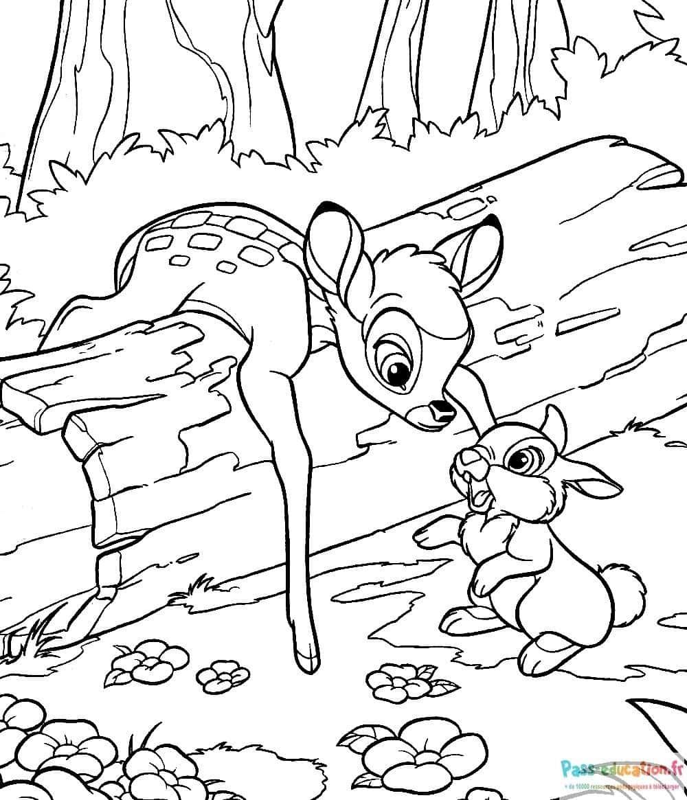Coloriage Bambi et Panpan à imprimer et colorier
