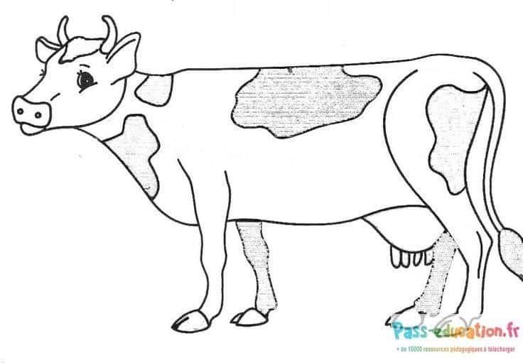 Coloriage Vache souriante à imprimer et colorier
