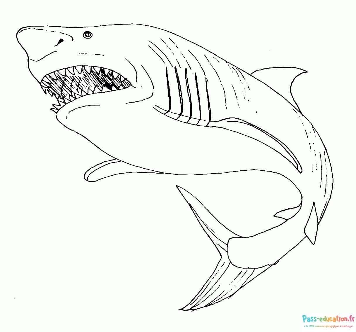 Coloriage Requin menaçant à imprimer et colorier