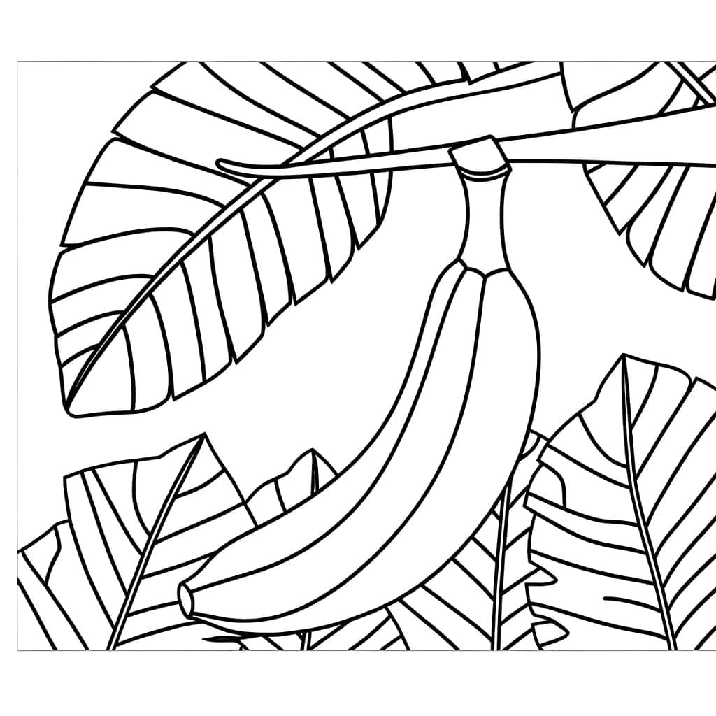 Coloriage Banane tropicale à imprimer et colorier