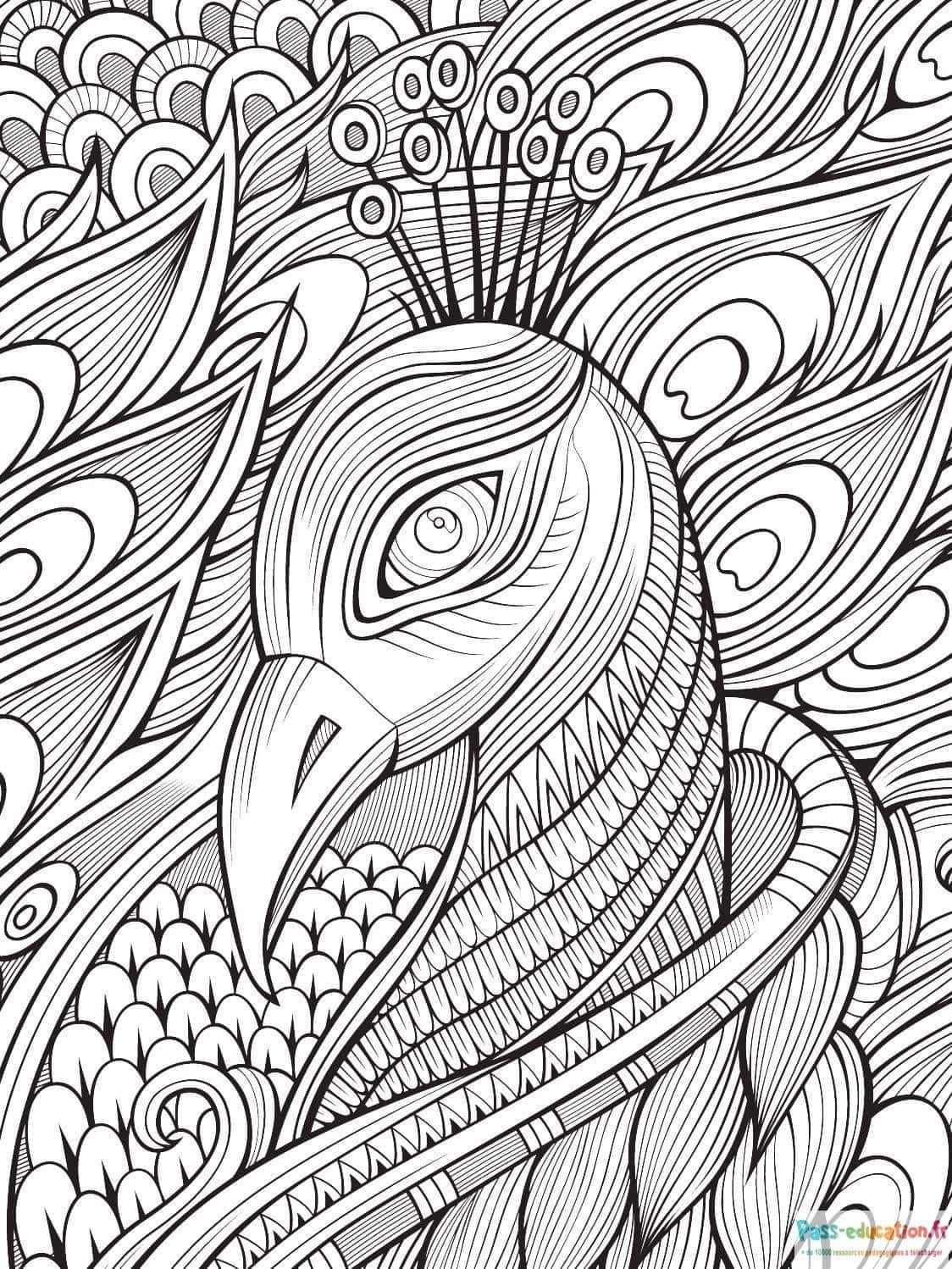 Coloriage Aigle royal à imprimer et colorier