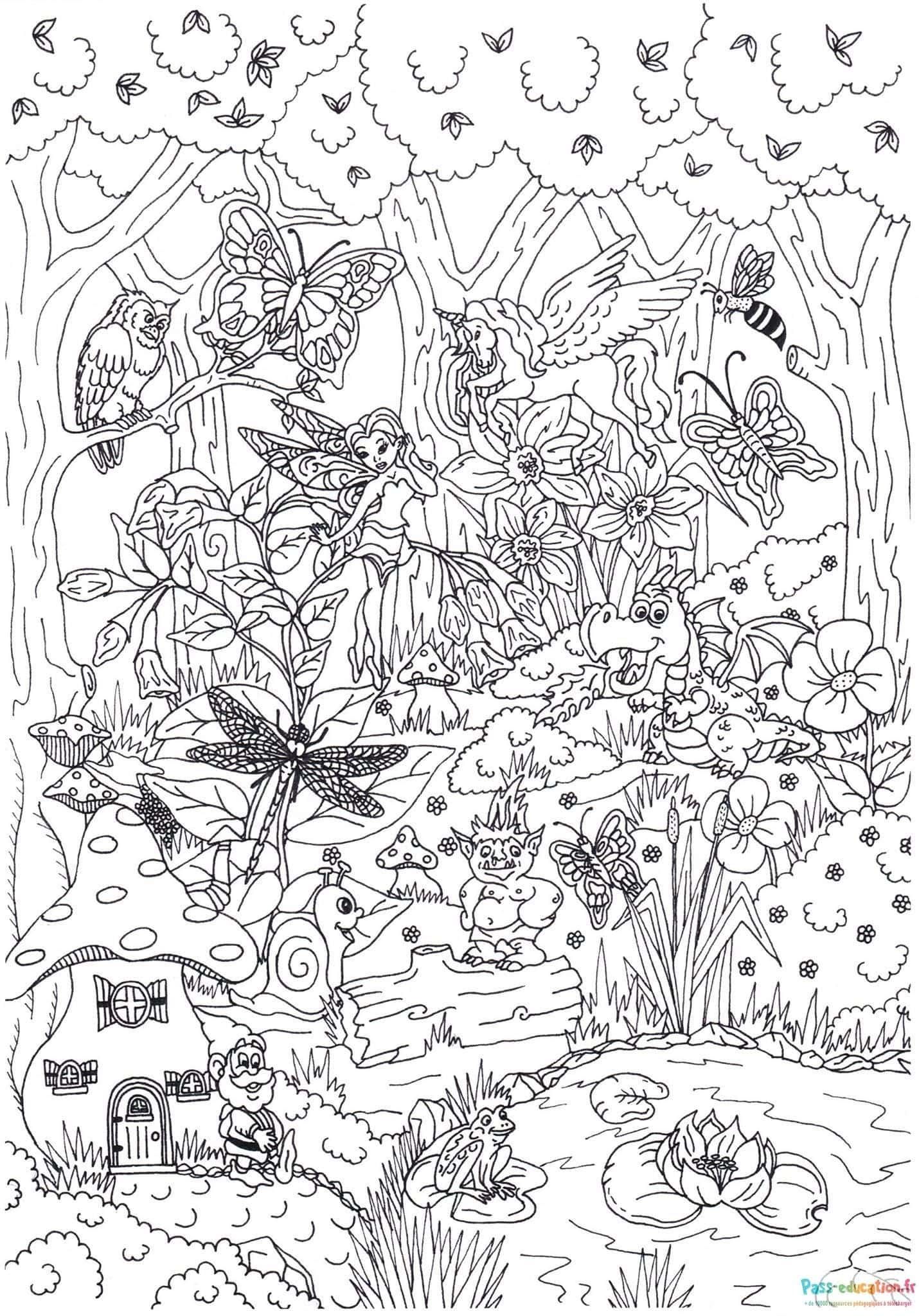 Coloriage Forêt enchantée à imprimer et colorier