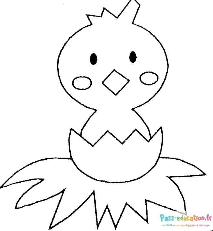 Coloriage Poussin éclos à imprimer et colorier