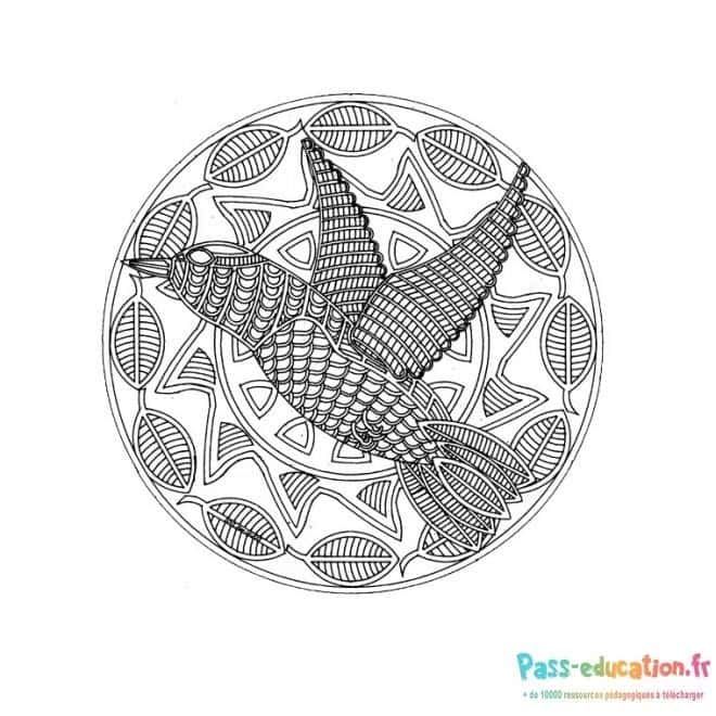 Coloriage Mandala oiseau volant à imprimer et colorier