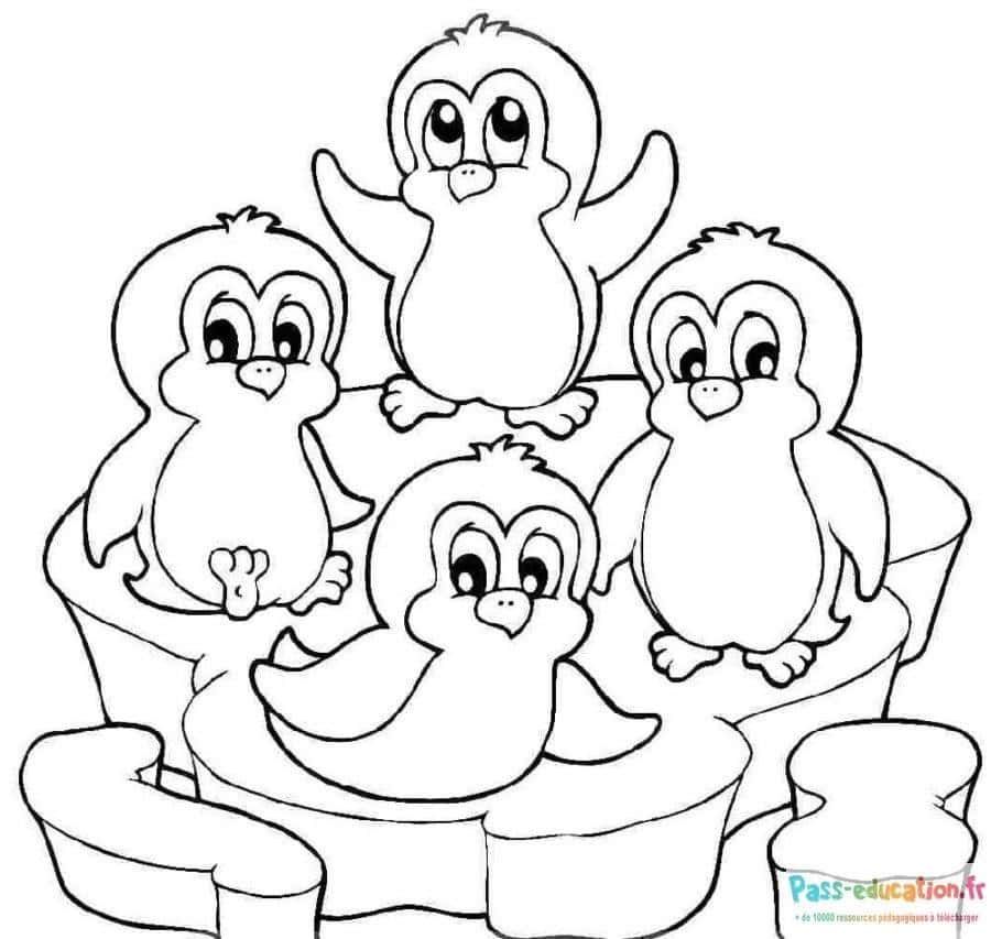 Coloriage Quatuor de pingouins à imprimer et colorier