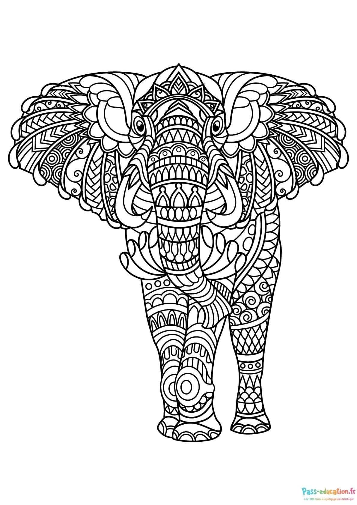 Coloriage Éléphant décoré à imprimer et colorier