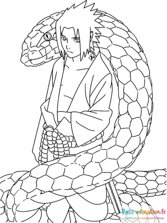 Coloriage Sasuke et serpent à imprimer et colorier