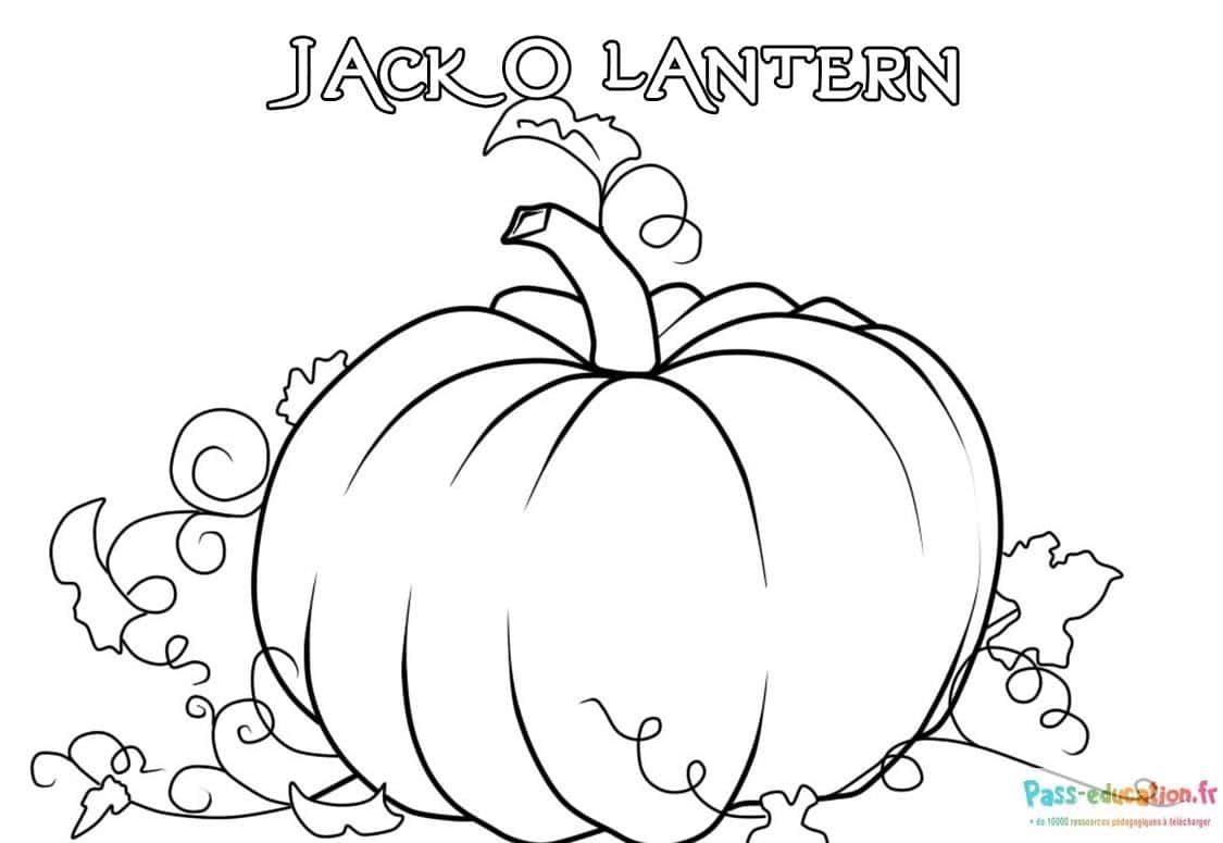 Coloriage Citrouille Halloween à imprimer et colorier