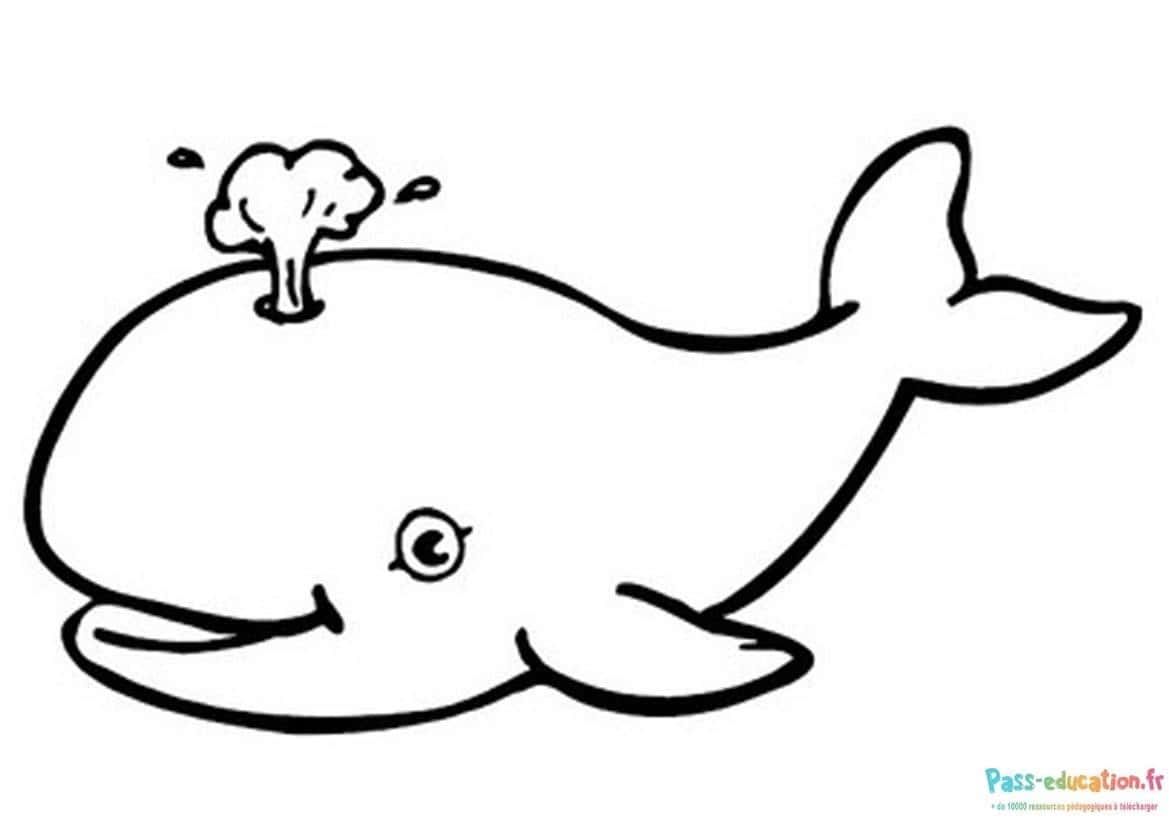 Coloriage Baleine souriante à imprimer et colorier