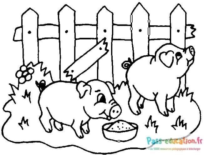 Coloriage Trois petits cochons à imprimer et colorier