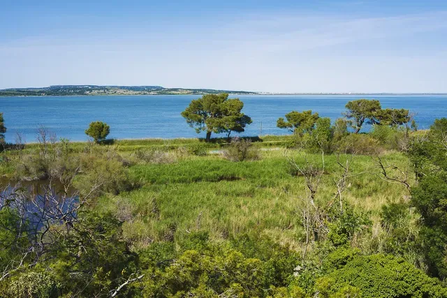Classe biodiversité