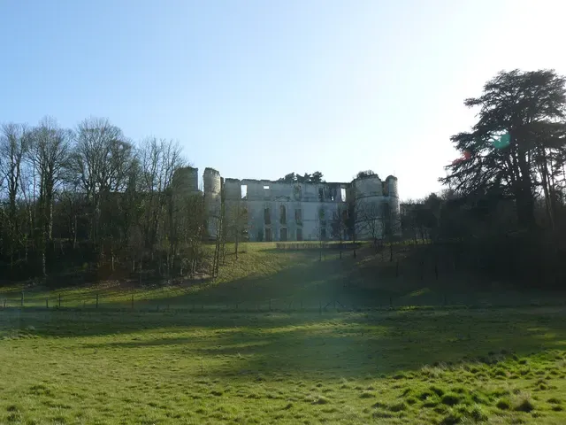 Ancien château de Montgauger (ou Mongoger)