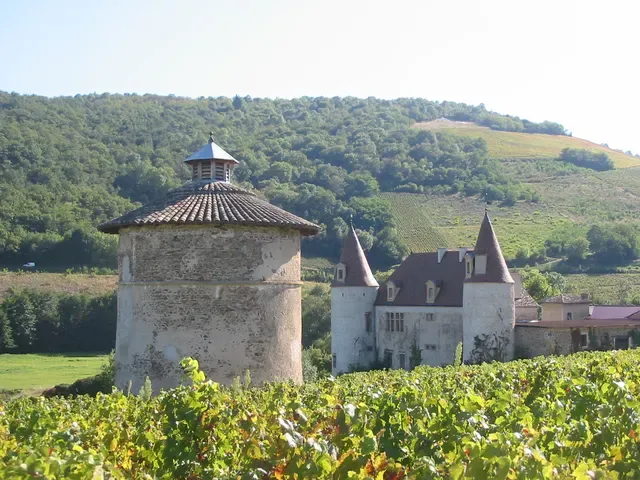 Château de La Palud