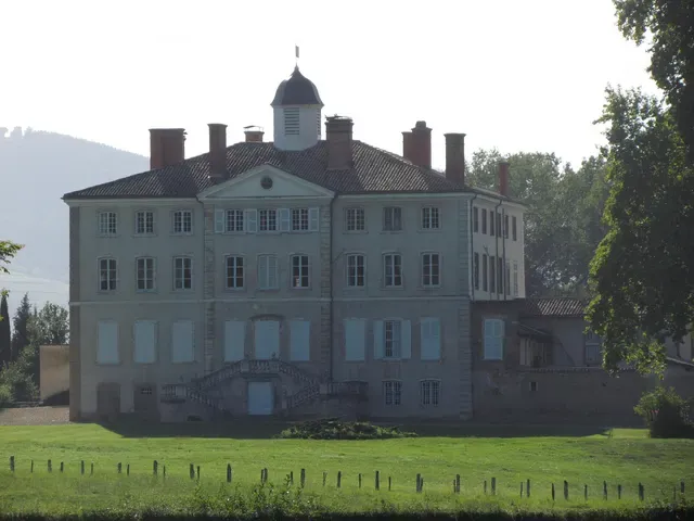 Château de Laye (également sur commune de Arnas)