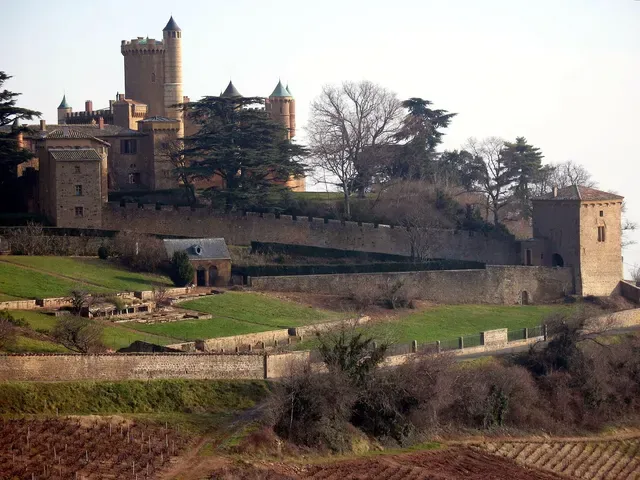 Château de Montmelas (également sur commune de Saint-Julien)