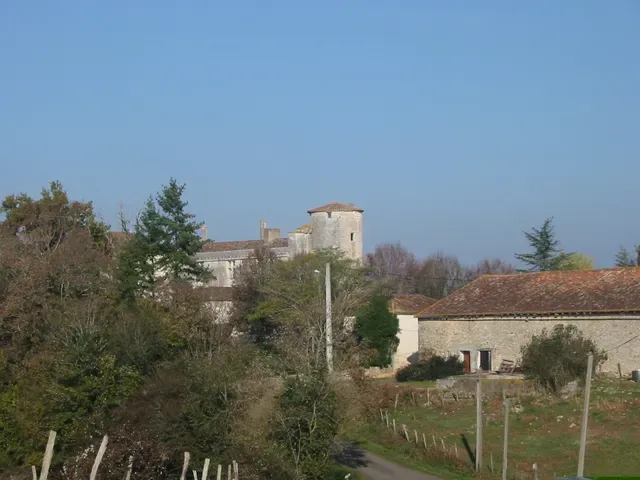Château de Puyvidal