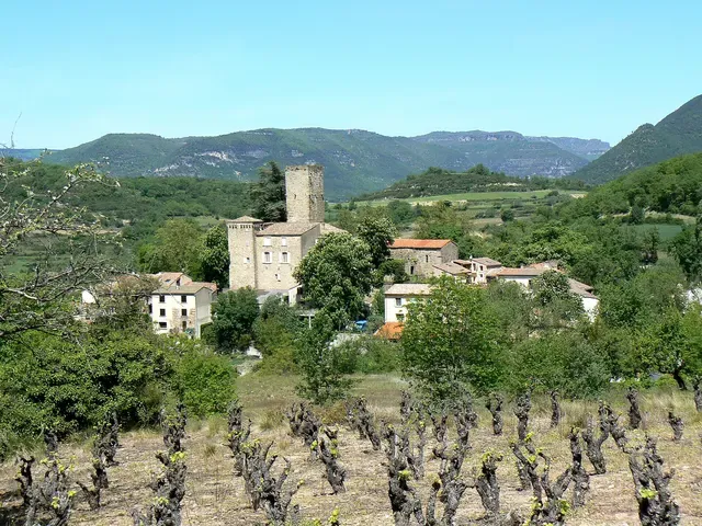 Château