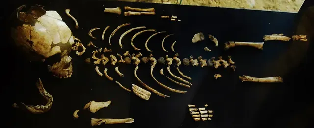Gisement en grotte du Roc de Marsal