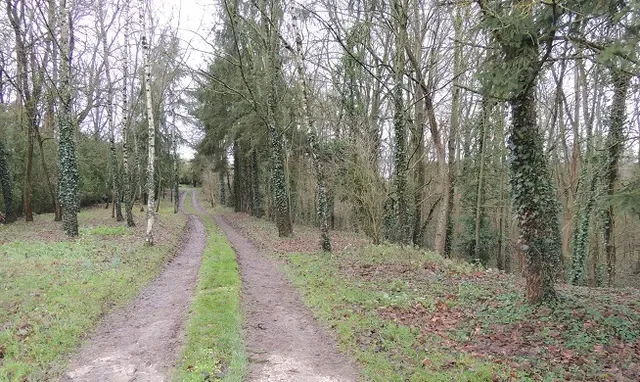 Motte castrale