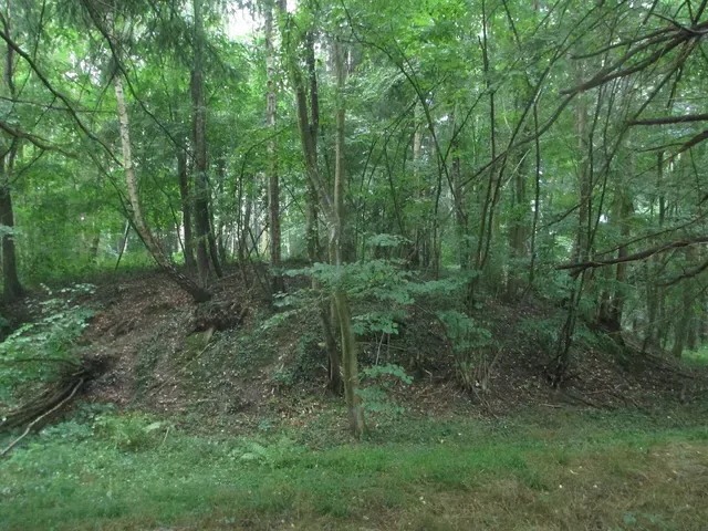 Motte féodale dite Garenne-de-la-Motte