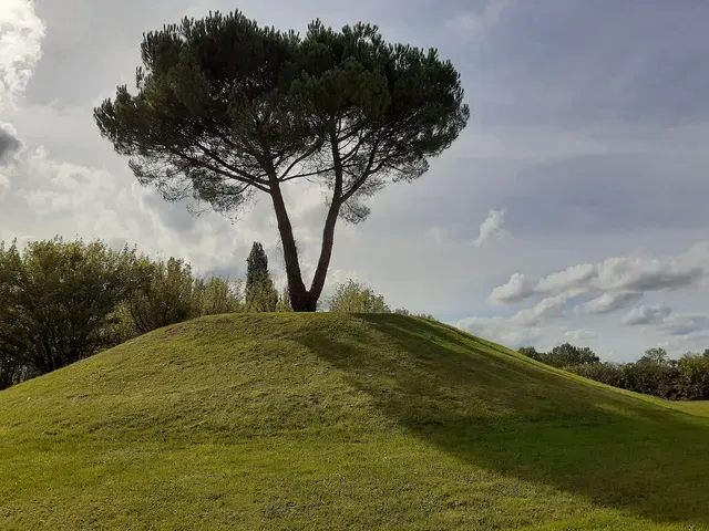 Motte féodale