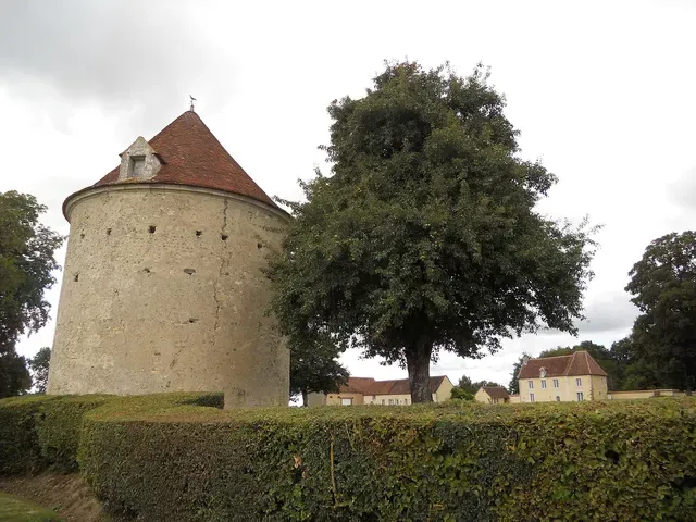 Motte féodale
