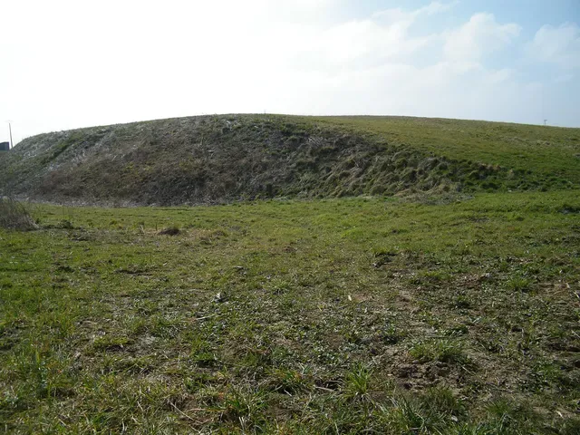 Motte médiévale de Nids