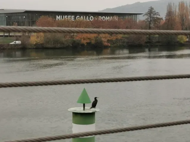 musée archéologique