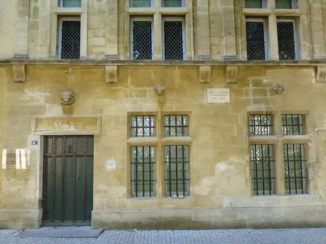 musée des Alpilles Pierre de Brun