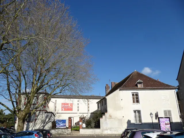 musée des Beaux-Arts et d'Histoire Naturelle