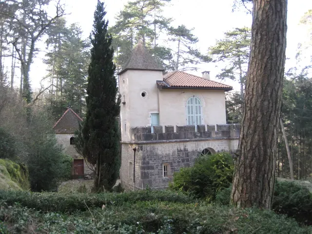 musée Noisot