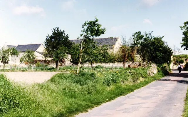 musée Rabelais