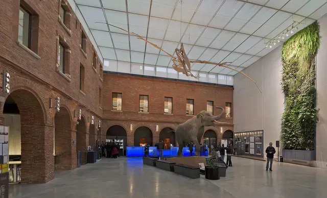 muséum d'histoire naturelle