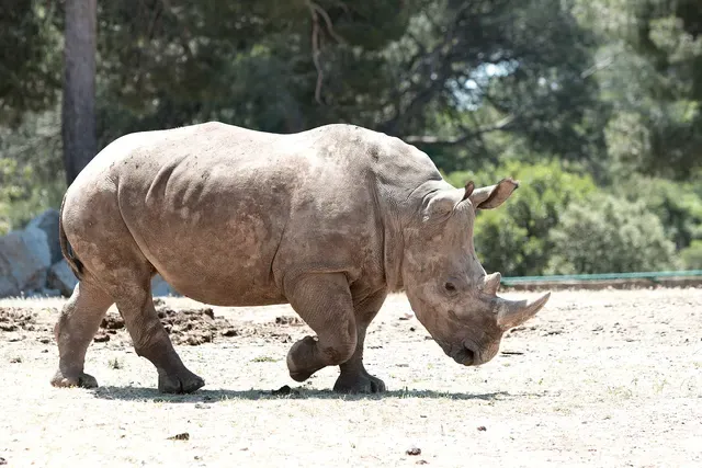 Parc animalier de La Barben