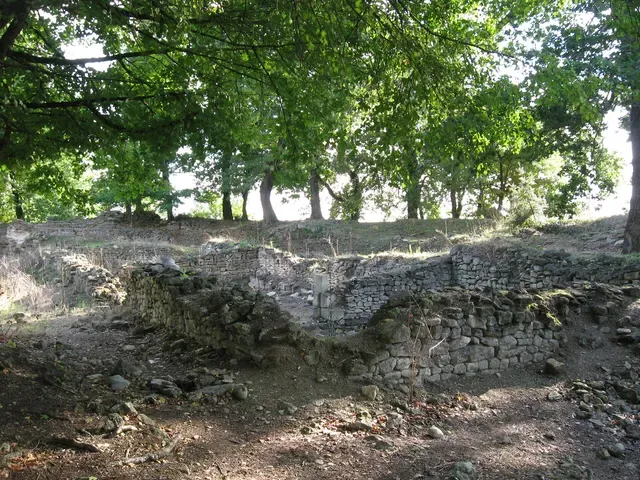 Portions des vestiges du théâtre gallo-romain de Brion