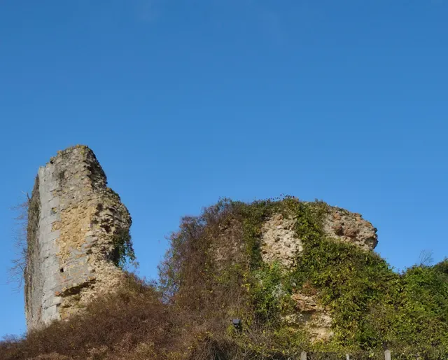 Ruines du donjon de la Motte