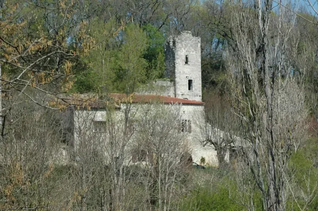 Ruines du donjon de Péchon