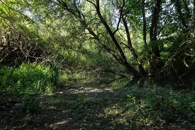 Site gallo-romain de l'Asile des Pêcheurs