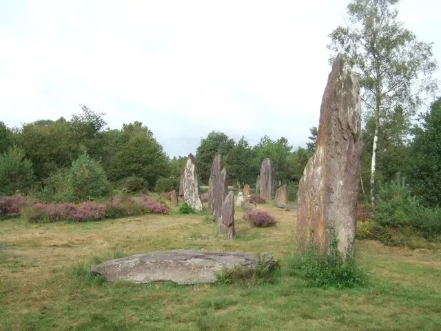Site mégalithique des Pierres Droites
