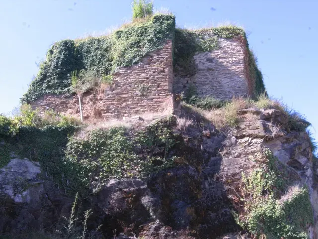 Vestiges du château des vicomtes de Limoges