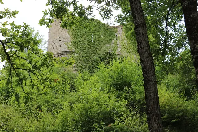 Vestiges du château féodal