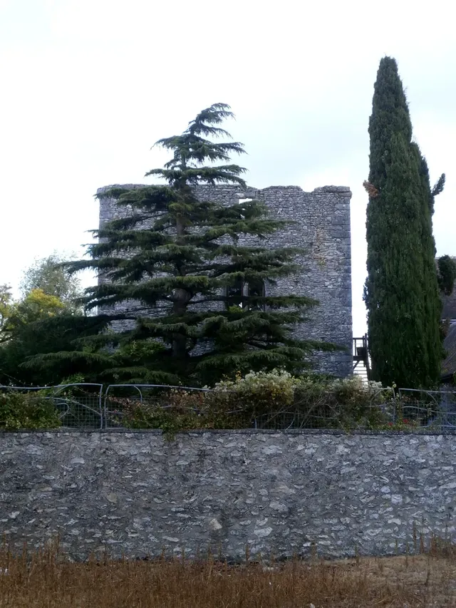 Vestiges du donjon