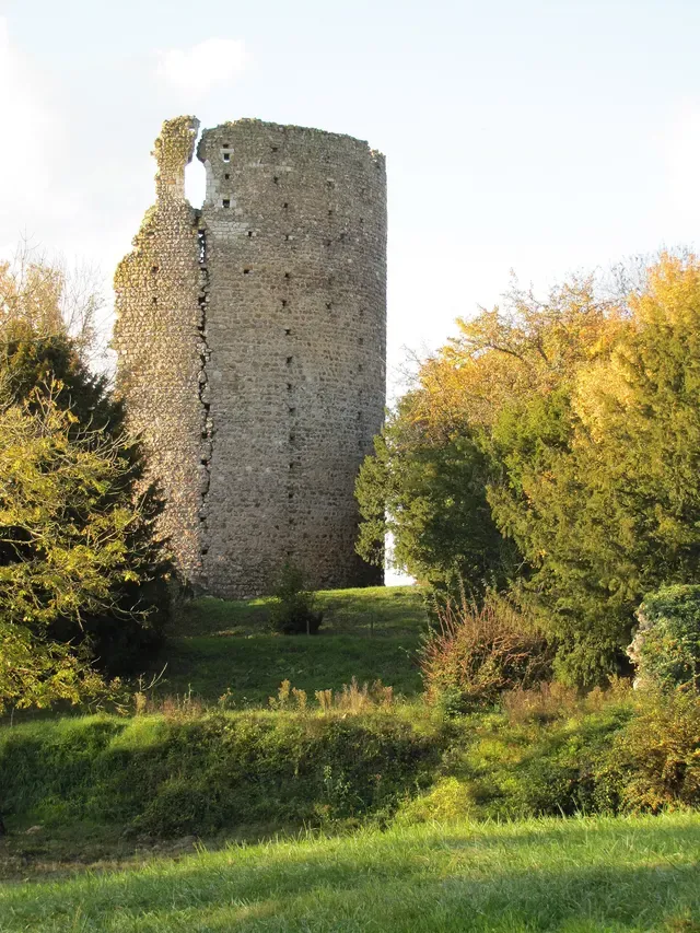 Vestiges du donjon