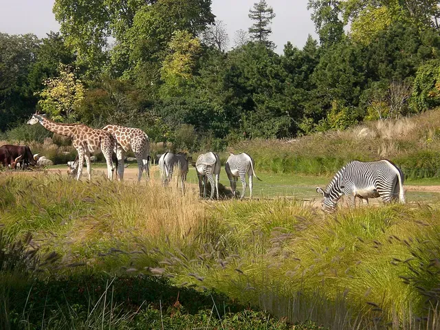 Zoo de la Tête d'Or